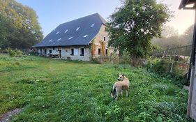 Vegan House - kamienny pokój